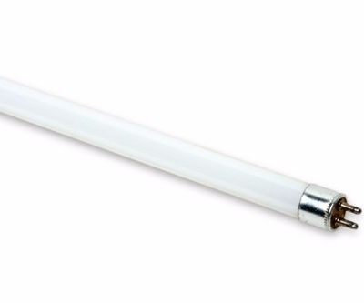 Tubo Fluorescente T4 8w Blanco Calido